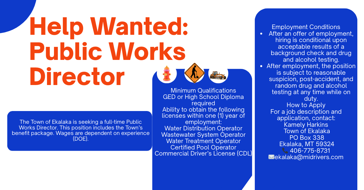 Public Works Director